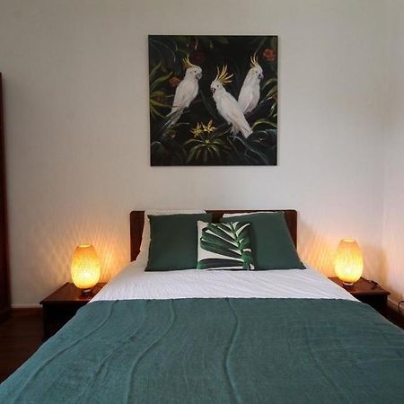 Appartements Le Cru Colbert 博讷 外观 照片